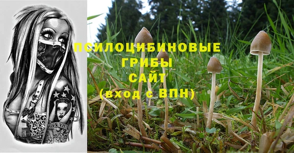 бошки Вязьма